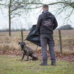 Wesenstest / Training in der Hundeschule Spiering