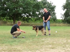Tagesseminar "Anti Giftköder" Training - Hundeschule - Spiering