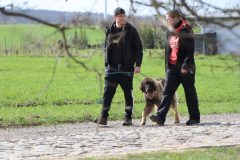 IMG_1658 IMG_1658