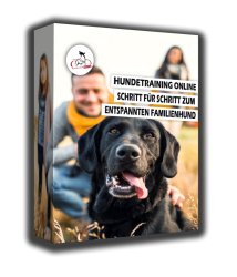 Karton_Onlinekurs_2
