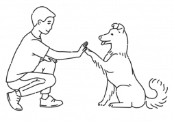 hundeschule-spiering-anti-giftkoeder-training-kommunikativ hundeschule-spiering-anti-giftkoeder-training-kommunikativ