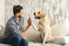 hundeschule-spiering-hundehalterausbildung-next-level-hund-verstehen hundeschule-spiering-hundehalterausbildung-next-level-hund-verstehen