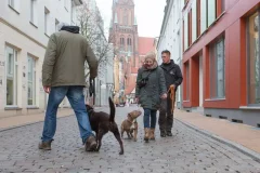 hundeschule-spiering-welpenfibel-hoerbuch-modul-8 hundeschule-spiering-welpenfibel-hoerbuch-modul-8